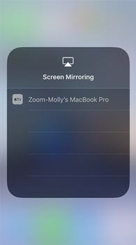 Choose your zoom computer